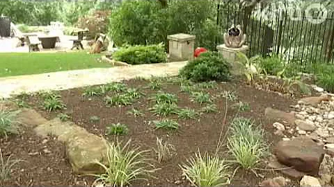 Annie Gillespie garden: Central Texas Gardener