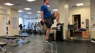2 DB Step Up w: Knee Drive