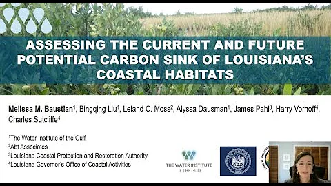 Assessing the Current and Future Potential Carbon ...