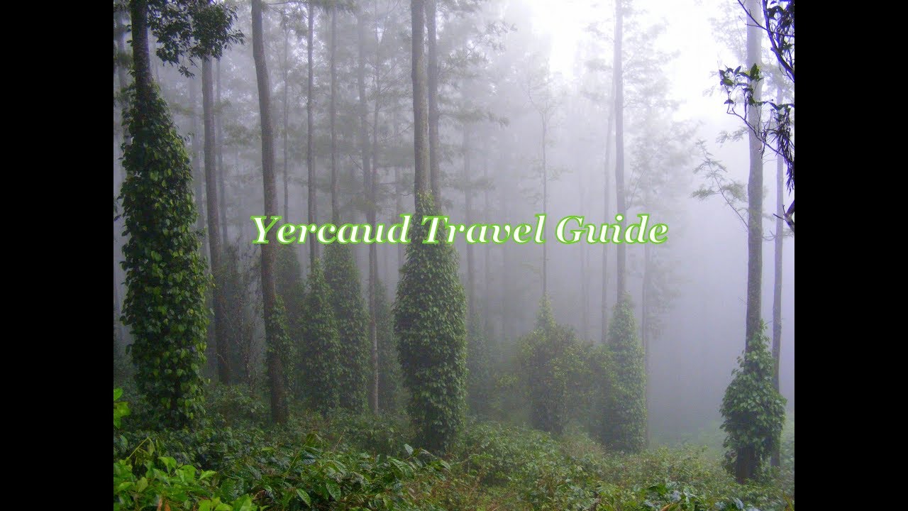 Yercaud tourist places | Yercaud Travel Guide | Yercaud tourism