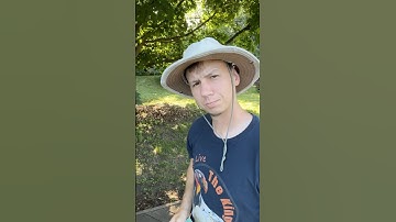 When Someone Asks You To Help Them Identify A Bird 🦅