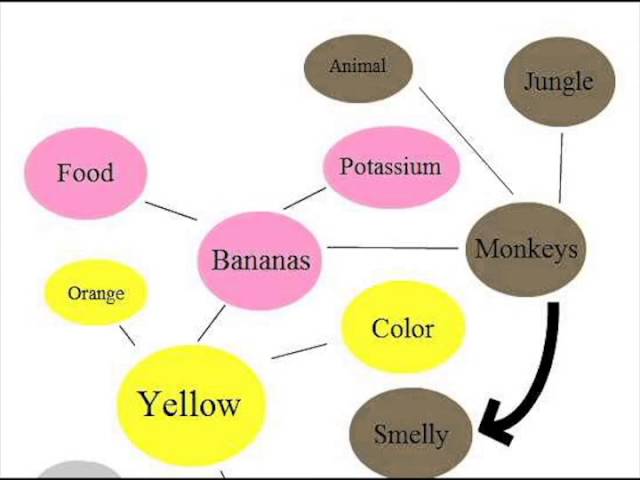 semantic network spreading activation