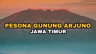 pesona gunung Arjuno (gunung tertinggi ke 2 di Jawa timur)