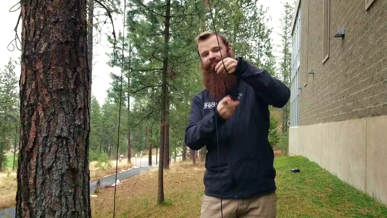 Bear Bagging Whitworth Outdoors YouTube