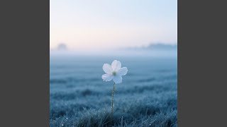 Gentle Promises Without You