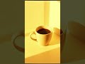 Velvet Jazz | 한 잔의 여유를 닮은 재즈 플레이리스트 ☕, 카페에서 틀기 좋은 음악, 무료 음악 BGM