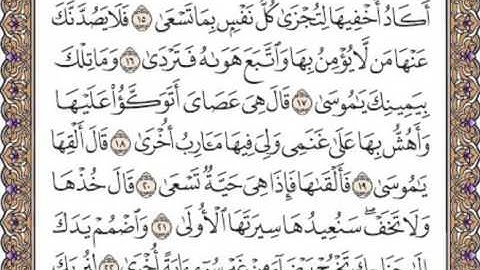 القرآن الكريم صفحة 313