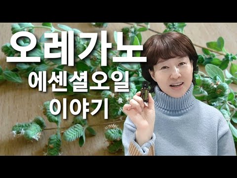 오레가노 에센셜오일 이야기