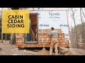 Cabin Cedar for DAYS - Cabin Build Ep.21