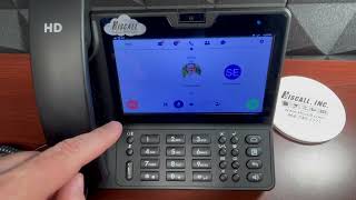 How To Manage Multiple Calls - Vision