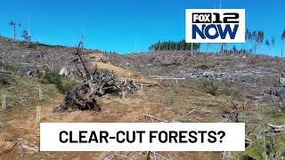 Celebrity Oregon group says BLM logging plan will lead to clear-cutting old growth forests Profile