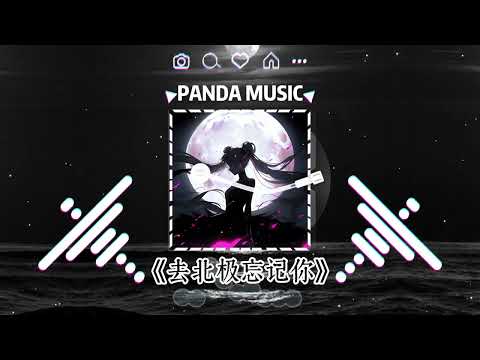 Gareth.T - 去北极忘记你 (抖音DJ版) Qu Bei Ji Wang Ji Ni『去北极忘记妳可不可以，从此隐姓埋名。』【動態歌詞｜Vietsub｜Pinyin Lyrics】
