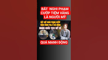 NÓNG: BẮT NGHI PHẠM CƯỚP TIỆM VÀNG PNJ TẠI ĐÀ NẴNG. NGHI PHẠM LÀ NGƯỜI MỸ.#blv #gocnhinblv #phapluat