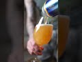 A new take on Paradise Lost?! 🤯 Blood Brothers Brewing - Pararise Lost Five Ehlive 🍻