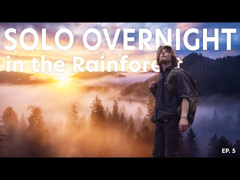 Sleeping Out of My Car in the Rainforest - SOLO LANDSCAPE PHOTOGRAPHY ADVENTURE - EP. 5