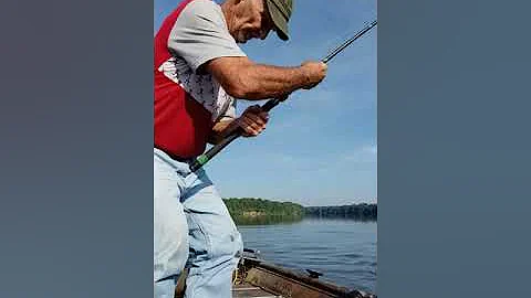Jimmy Edwards using Catfish Sumo 2.0 rod with Seagate Daiwa reel.