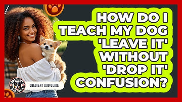 How Do I Teach My Dog 