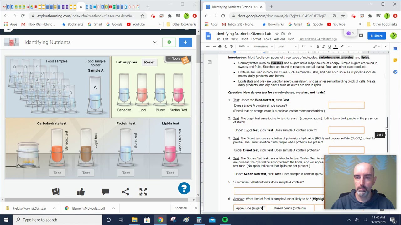 Identifying Nutrients Gizmos Lab Sep 12 2020 11 52 Am Youtube