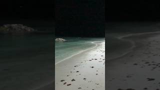 Fall Asleep With Waves At Night On Maldives Beach.|| Ocean Sound Of Waves || Ambient Calming Ocean S