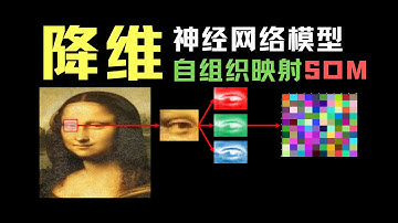 【数之道 13】实现降维计算的另类神经网络 Self Organizing Map