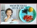 WHAT MY ONE YEAR OLD EATS IN A DAY | 13 MONTHS OLD