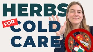 5 Herbal Remedies to PREVENT + TREAT the common cold! by Herbalist Kristen 829 views 9 months ago 13 minutes, 48 seconds