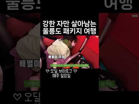 #30대 #주부 #여행 #취미 #브이로그 #울릉도 #독도 #<strong>패키지여행</strong>