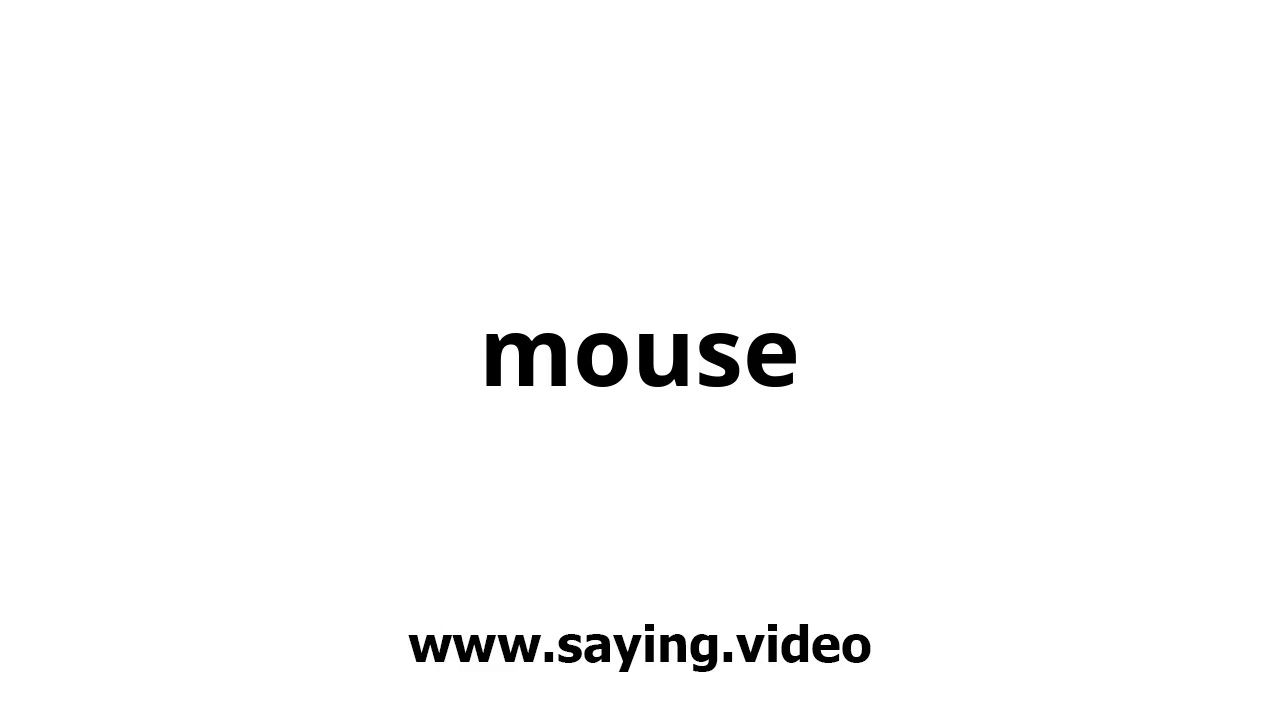 How to say mouse in English - YouTube