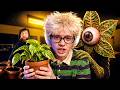 ДЕНЖЕР ЛЁХА ИГРАЕТ В ХОРРОР ПРО МАГАЗИН РАСТЕНИЙ | The Plant Shop (1 часть)