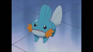 Mudkip is crying