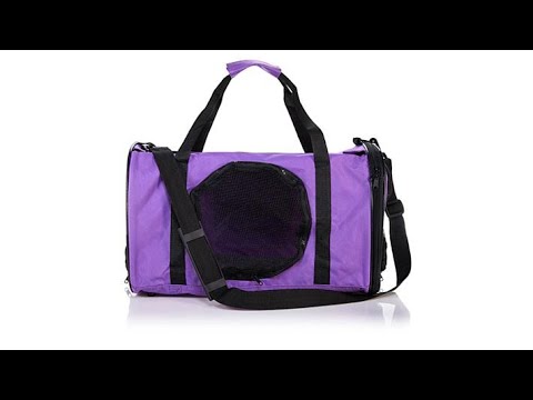 jackson galaxy base camp hub