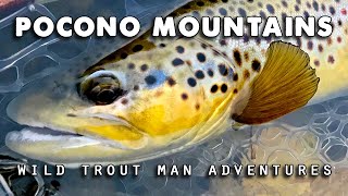 Fly Fishing the Poconos: Wild Trout on a Dry/Dropper Rig