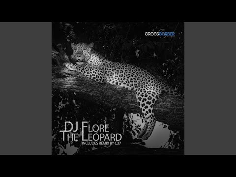Leopard (Radio Edit) adlı videoyu YouTube'da izle