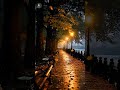Peaceful rainy evening under streetlight #relaxing #nature #nature #sleep #shorts