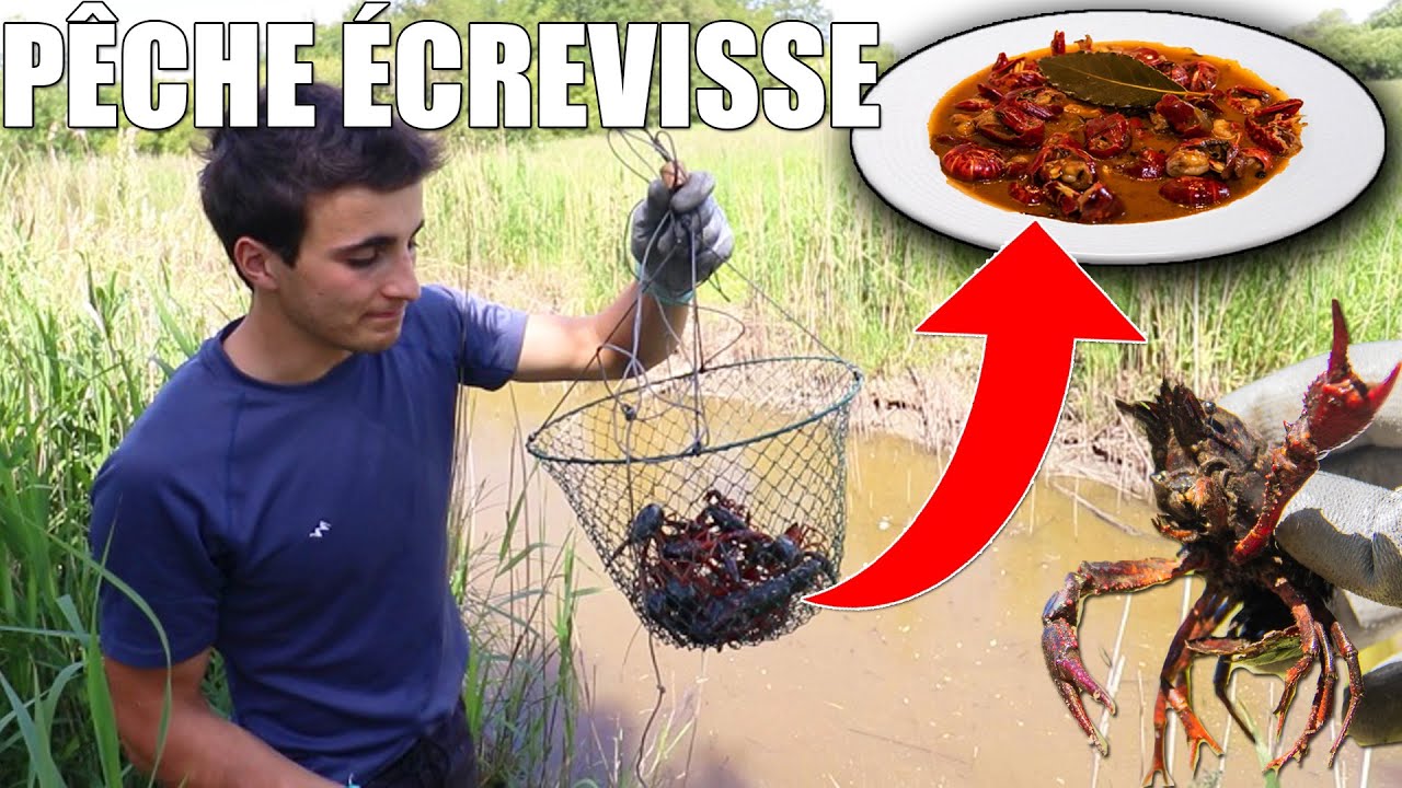 PÊCHER, CUISINER ET MANGER DES ÉCREVISSES FACILEMENT ! Marius Chasse YouTube