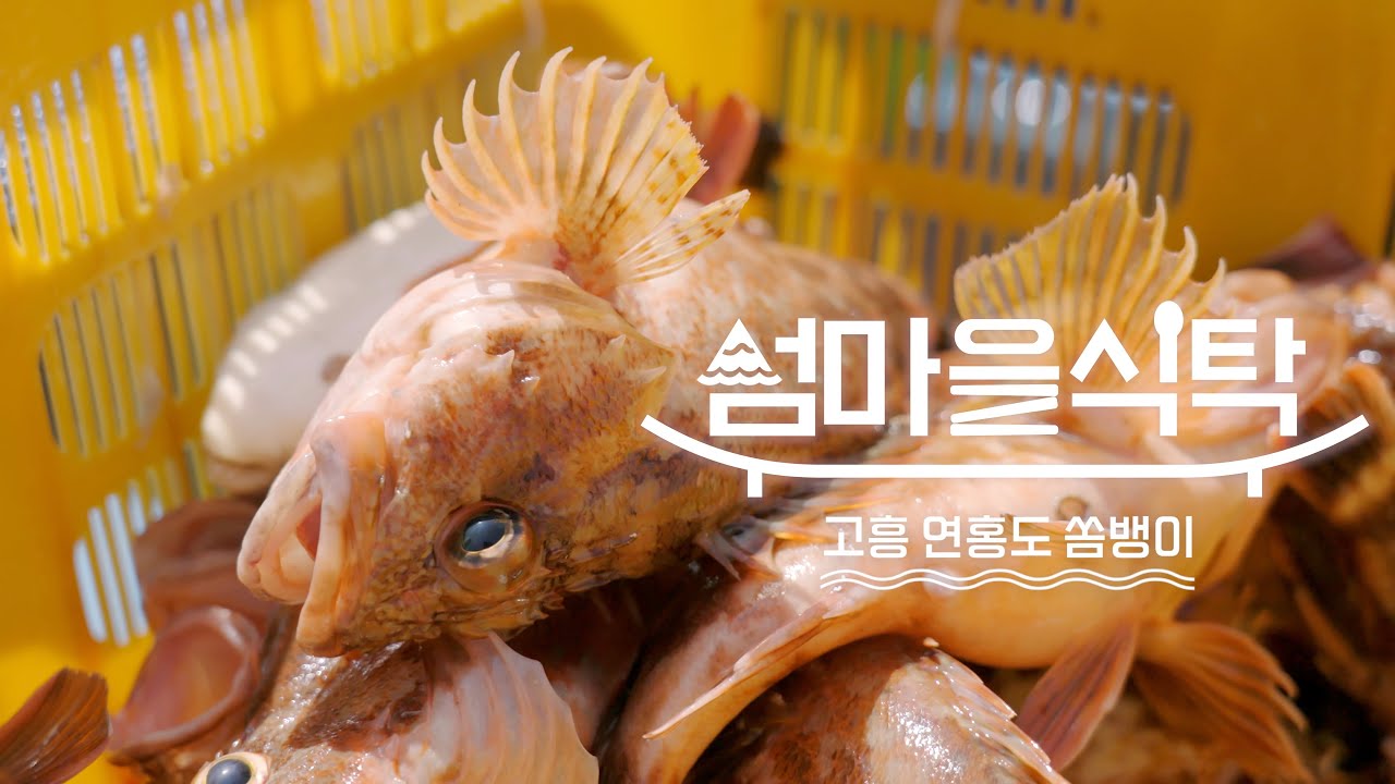 [섬마을식탁] 쏨뱅이! 고흥에서만 맛 볼 수 있는 진한 맛! 연홍도 사람은 돌우럭 먹고 힘이 세다?! 그 맛에 한번 빠지면 ...