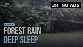 Gentle Rain for Anxiety 🌧️ Soft Forest Rain to Calm Stress | No Thunder, No Music · 3 Hours screenshot 4