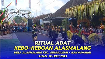 Ritual Adat Kebo-keboan Alasmalang Singojuruh Banyuwangi 2025