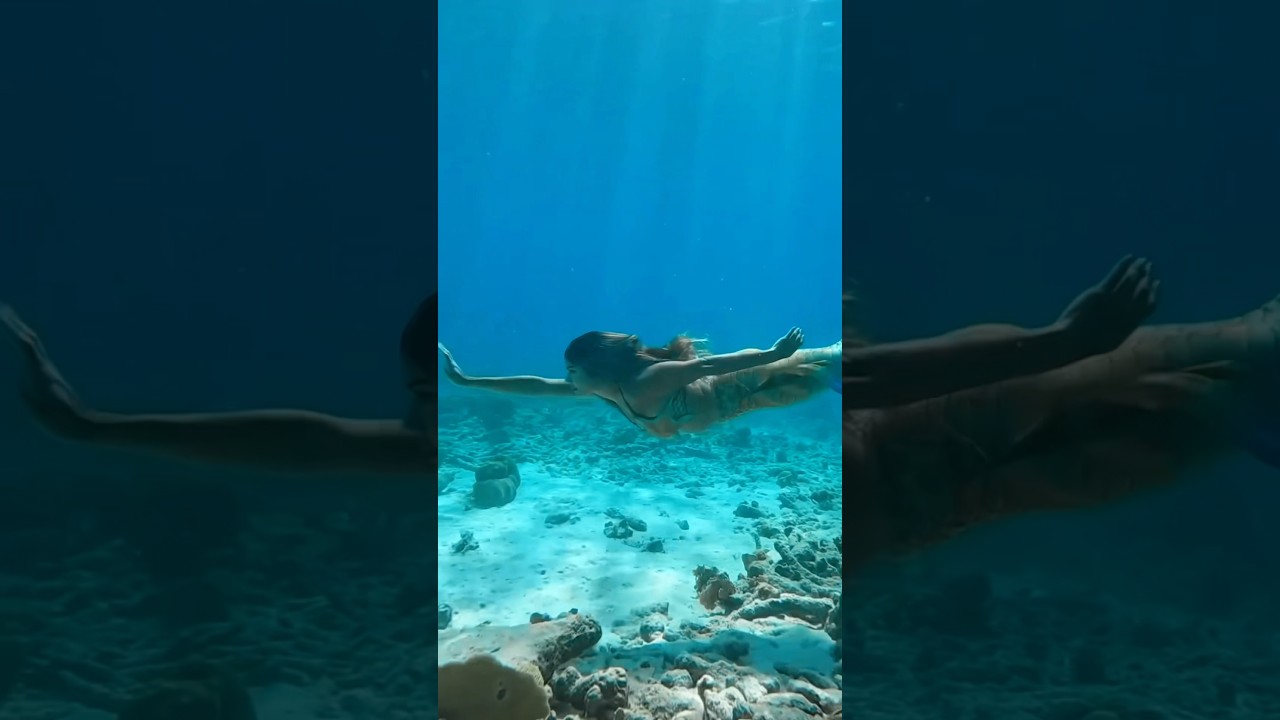 Mentally, I’m here. 🪸 HBU? 