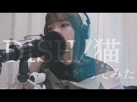DISH//猫 【女性キー】covered byなるこ