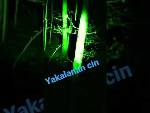 yakalanan cin #paranormalactivity