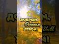С Добрым осенним утром