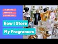 How I Store My Fragrances | My Entire 150+ Bottle Perfume Collection