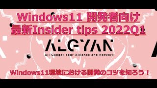 Windows11 開発者向け最新Insider tips 2022Q1