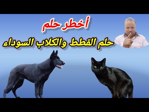 انتبه لهذا الحلم فهو خطير جدا حلم الكلاب والقطط السوداء في المنام