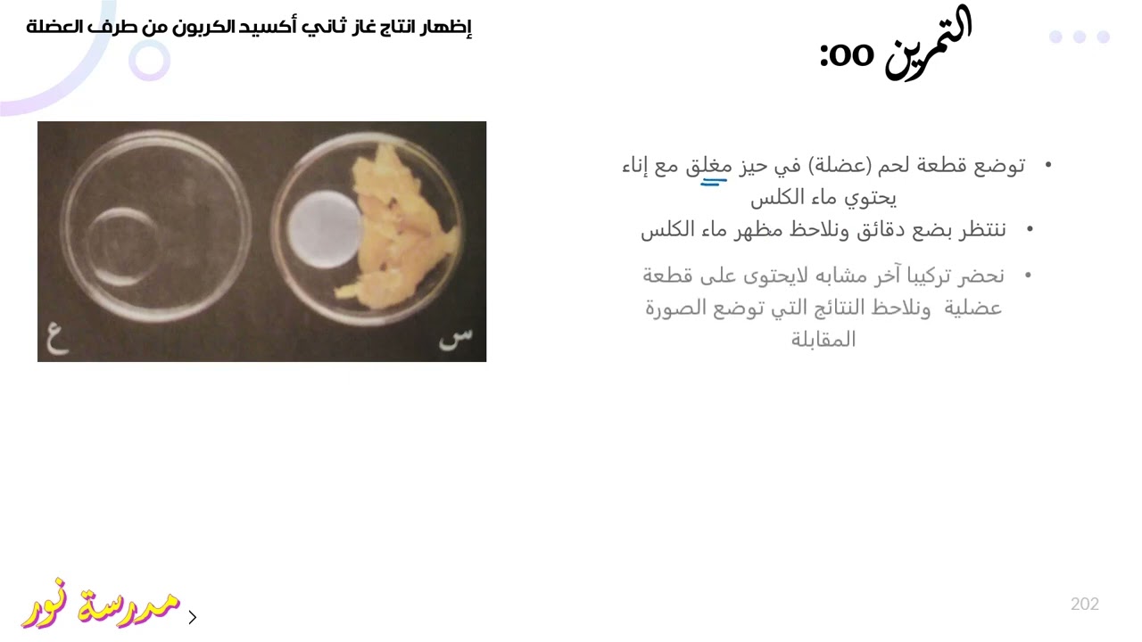 تمرين حول استهلاك العضلة للغلوكوزوثنائي الأكسجين علوم طبيعية سنة 04 متوسط