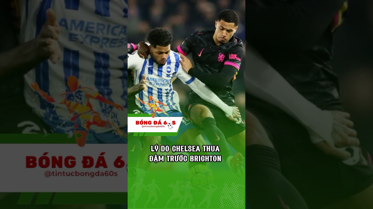 hotel casino le lyon vert Lý do Chelsea thua đậm trước Brighton - Bóng Đá 60s chelsea brighton thethao24 ngoaihanganh