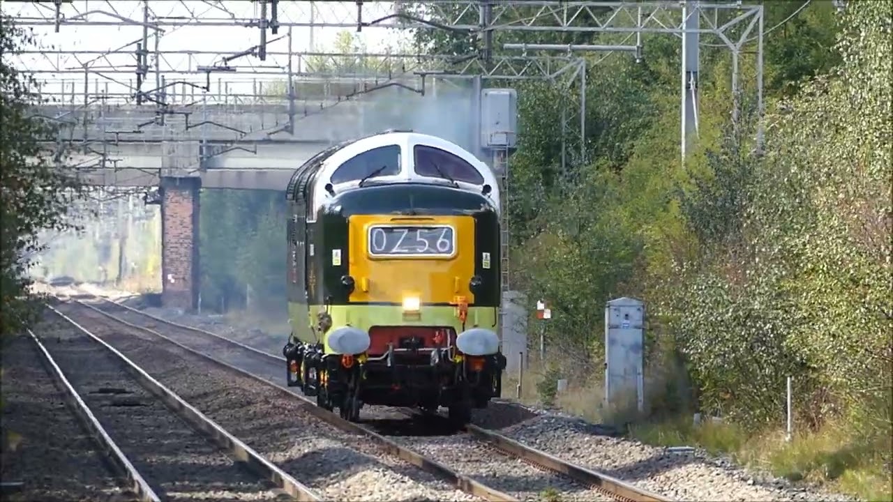55 Deltic D9000 'Royal Scots Grey' Roars through Hartford station in Cheshire 22nd September 2025