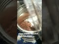 Cocoa Powder