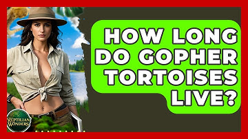 How Long Do Gopher Tortoises Live? - Reptilian Wonders